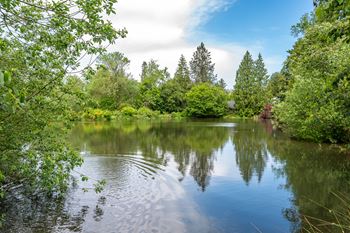 Next to Beautiful Wildlife Reserve